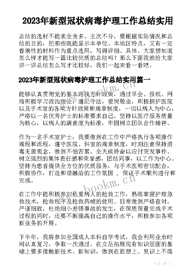 2023年新型冠状病毒护理工作总结实用