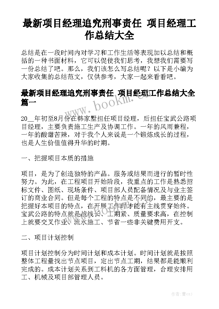 最新项目经理追究刑事责任 项目经理工作总结大全