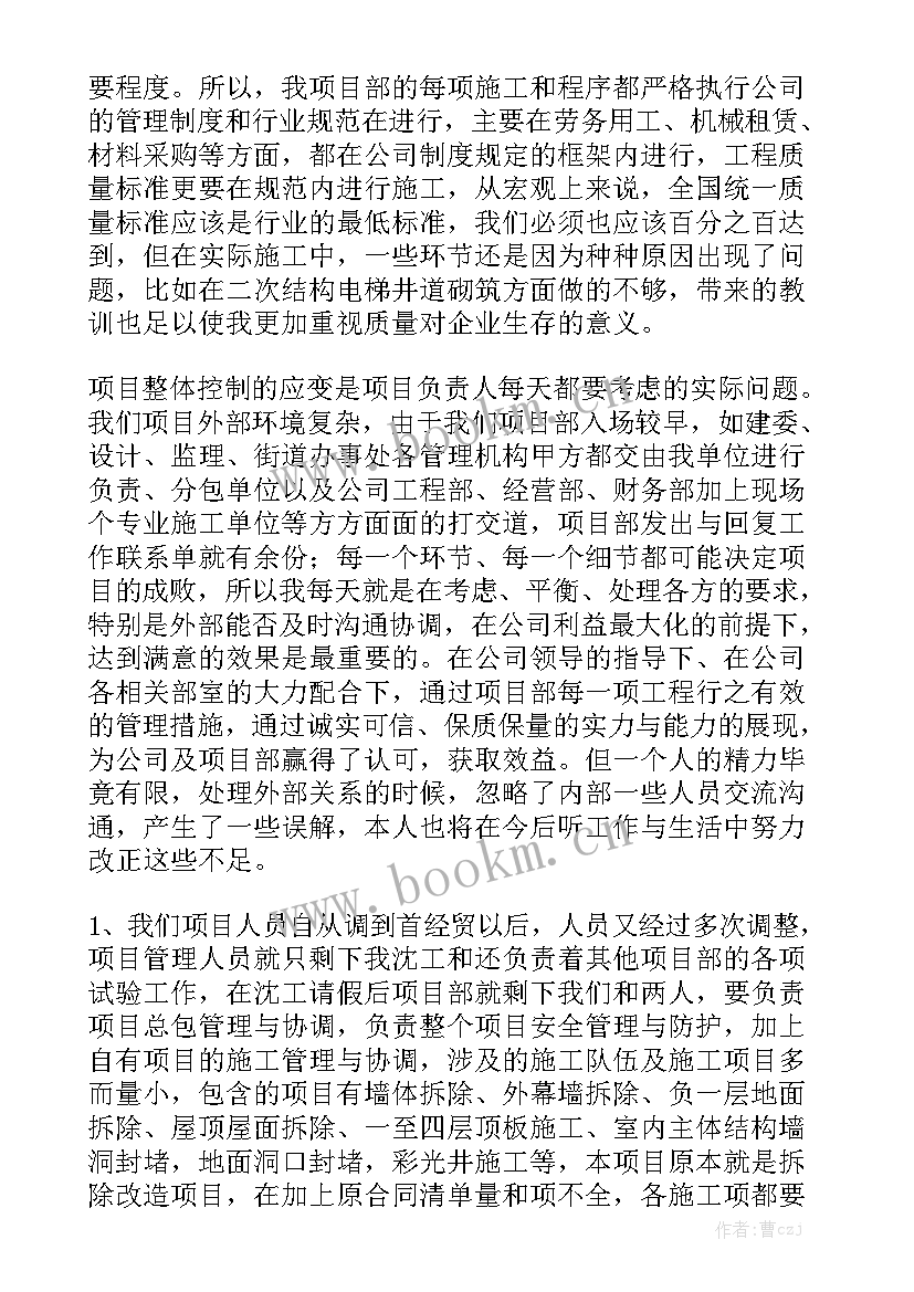 最新项目经理追究刑事责任 项目经理工作总结大全