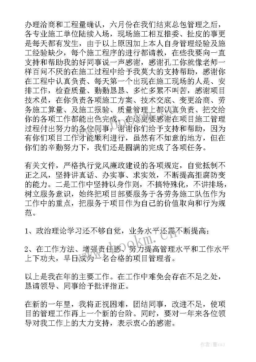 最新项目经理追究刑事责任 项目经理工作总结大全