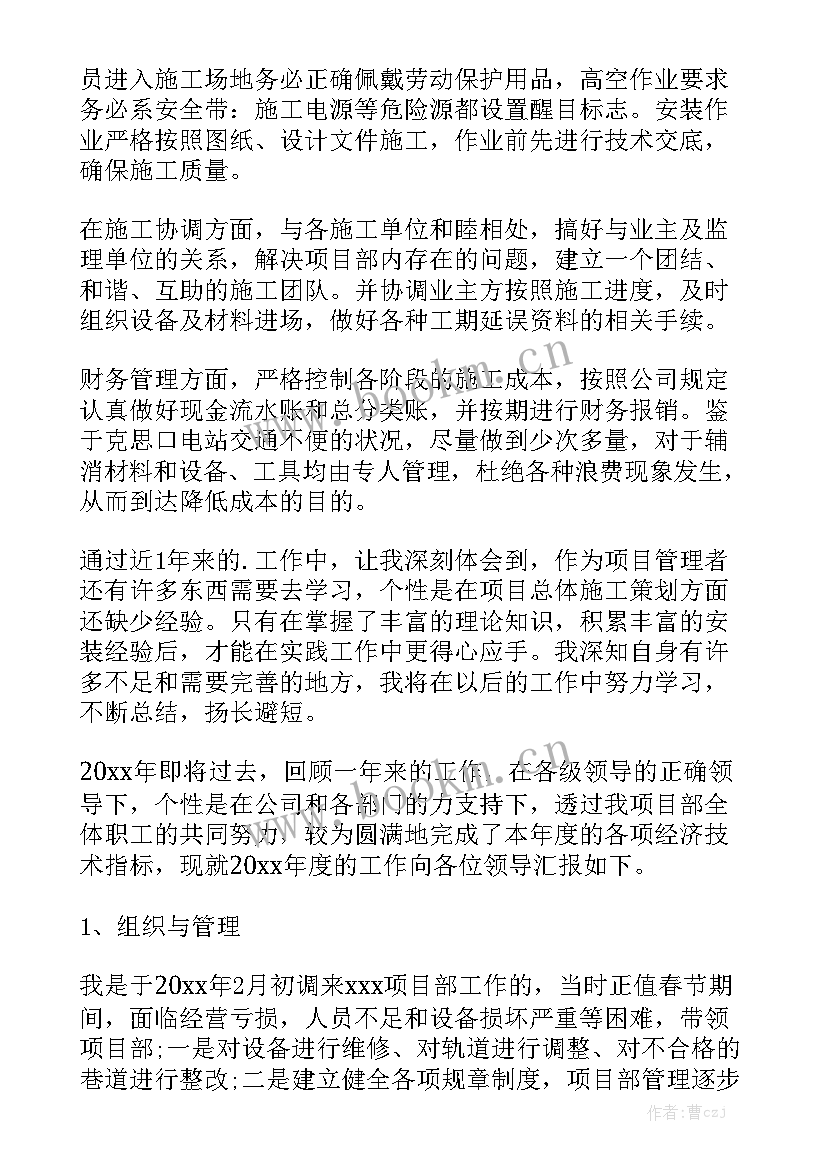 最新项目经理追究刑事责任 项目经理工作总结大全