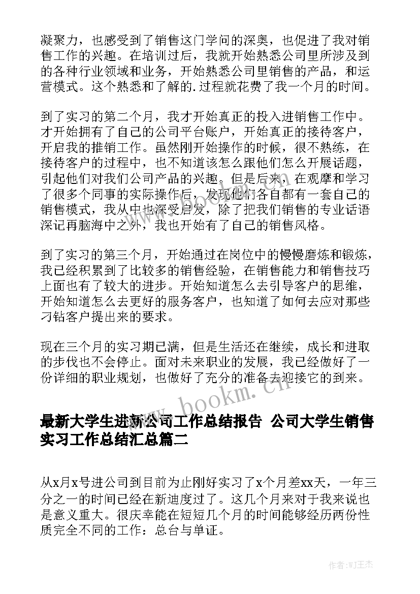 最新大学生进新公司工作总结报告 公司大学生销售实习工作总结汇总