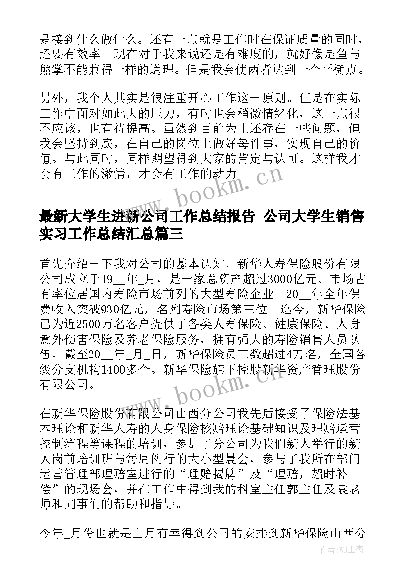 最新大学生进新公司工作总结报告 公司大学生销售实习工作总结汇总