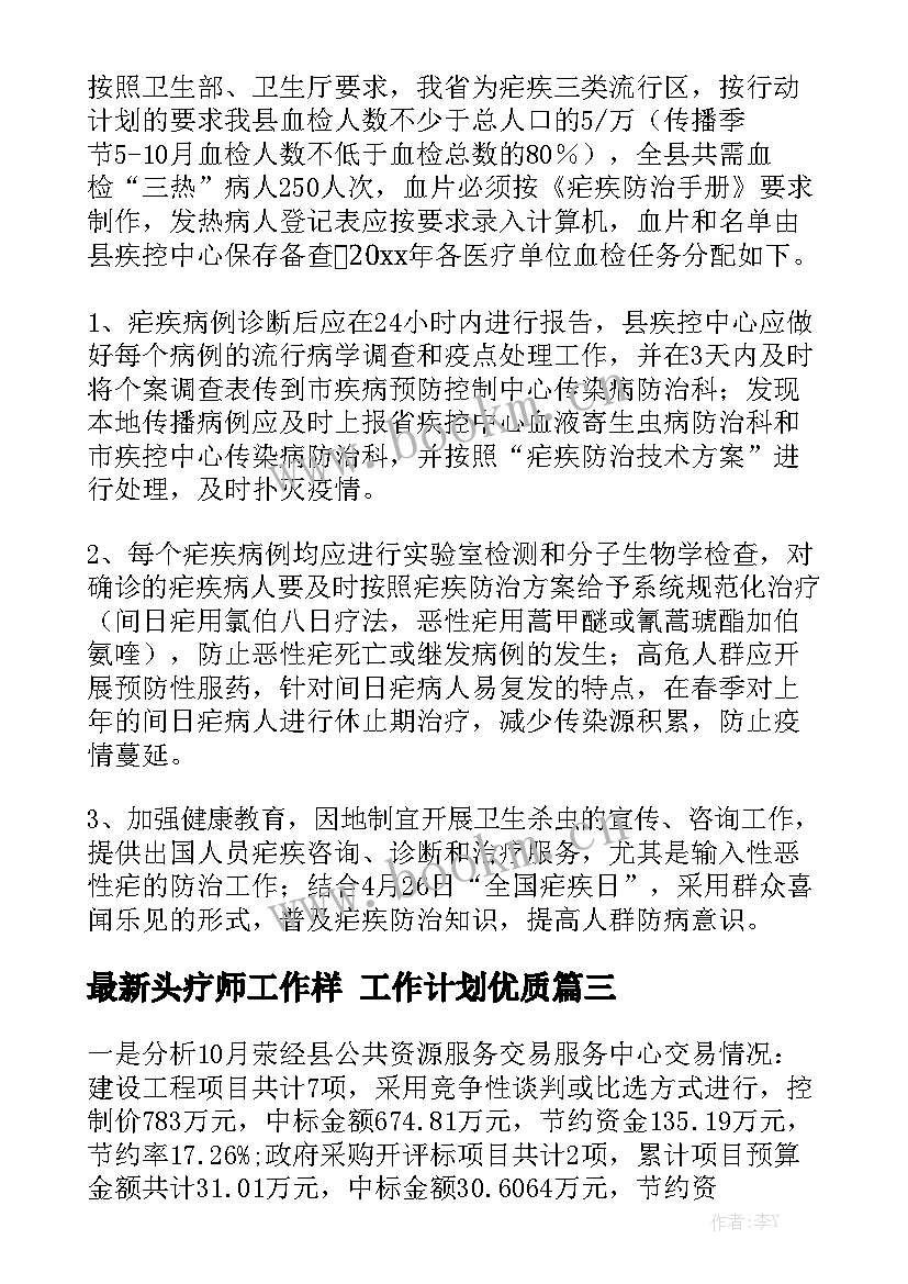 最新头疗师工作样 工作计划优质