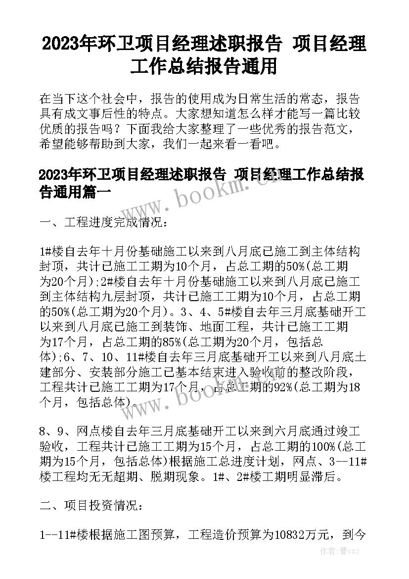 2023年环卫项目经理述职报告 项目经理工作总结报告通用