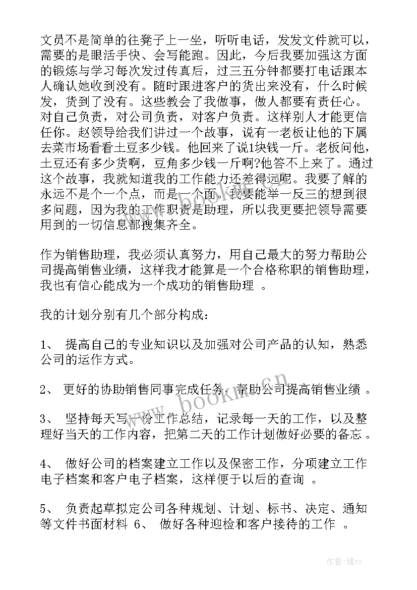 销售助理工作总结与计划模板