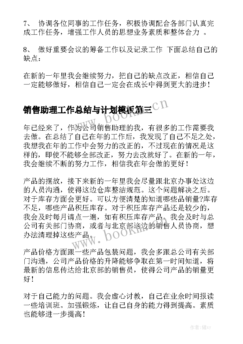 销售助理工作总结与计划模板