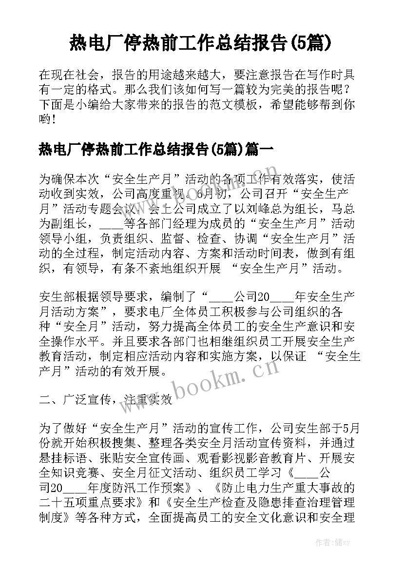 热电厂停热前工作总结报告(5篇)