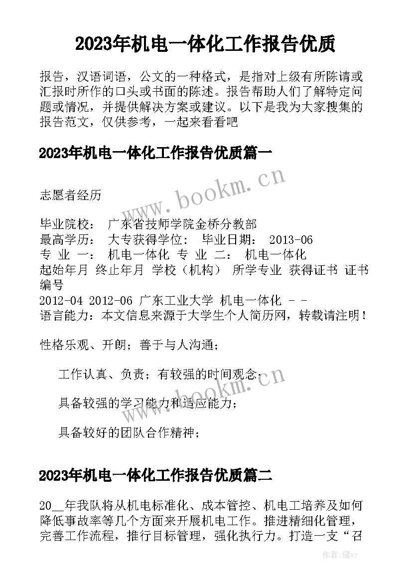 2023年机电一体化工作报告优质