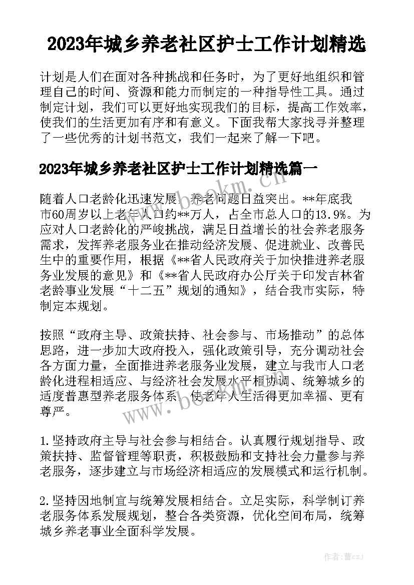 2023年城乡养老社区护士工作计划精选