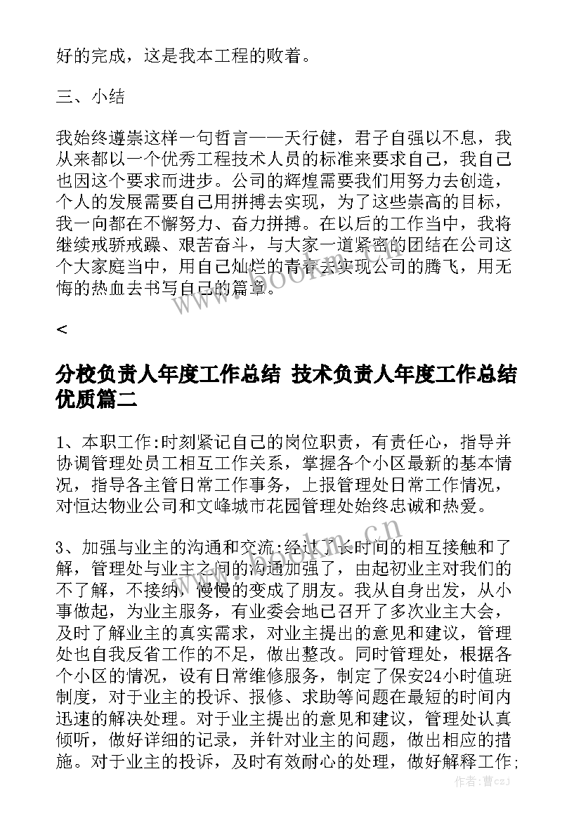 分校负责人年度工作总结 技术负责人年度工作总结优质