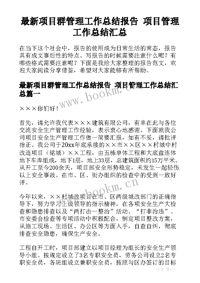 最新项目群管理工作总结报告 项目管理工作总结汇总