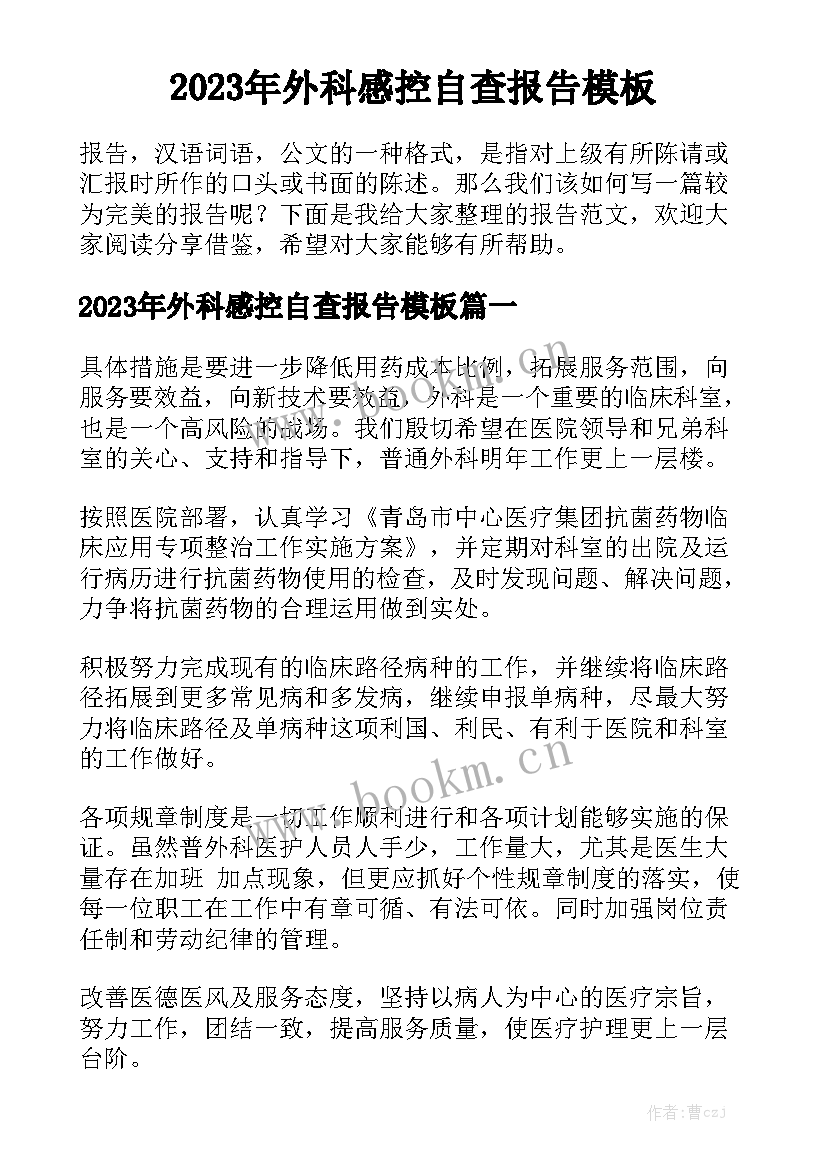 2023年外科感控自查报告模板