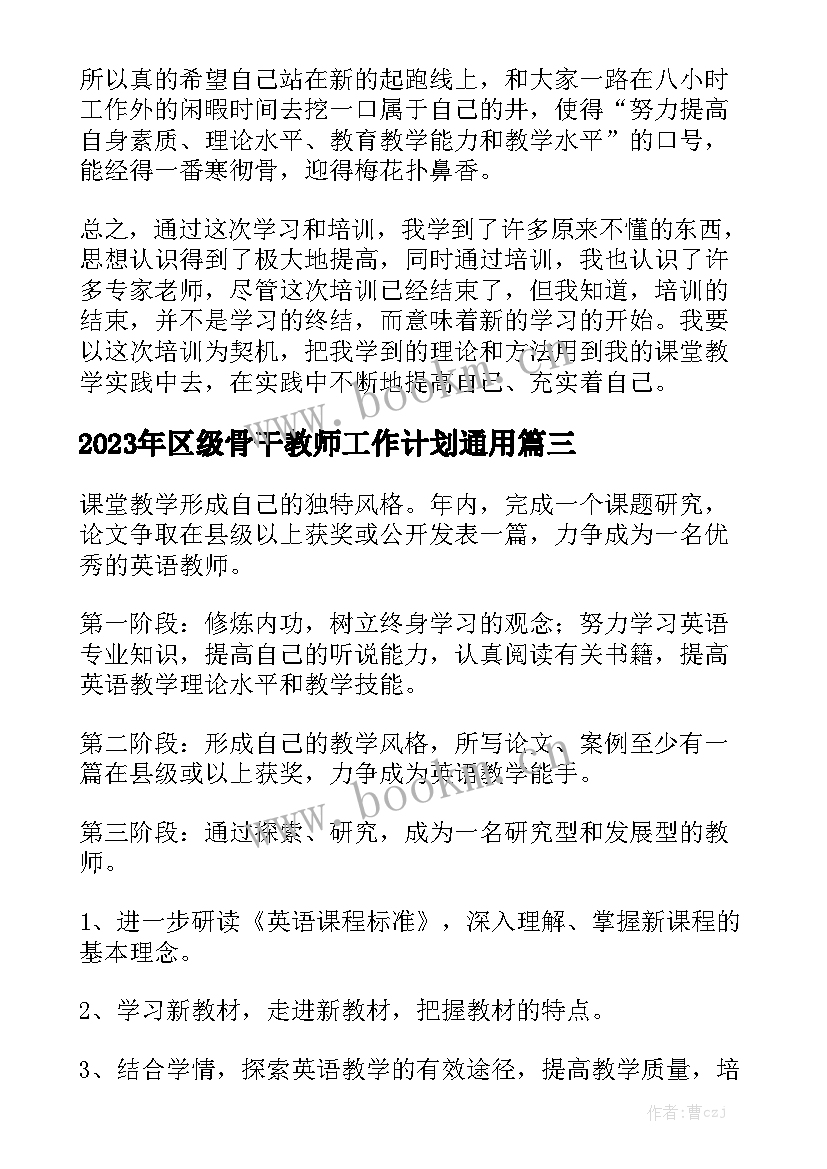 2023年区级骨干教师工作计划通用