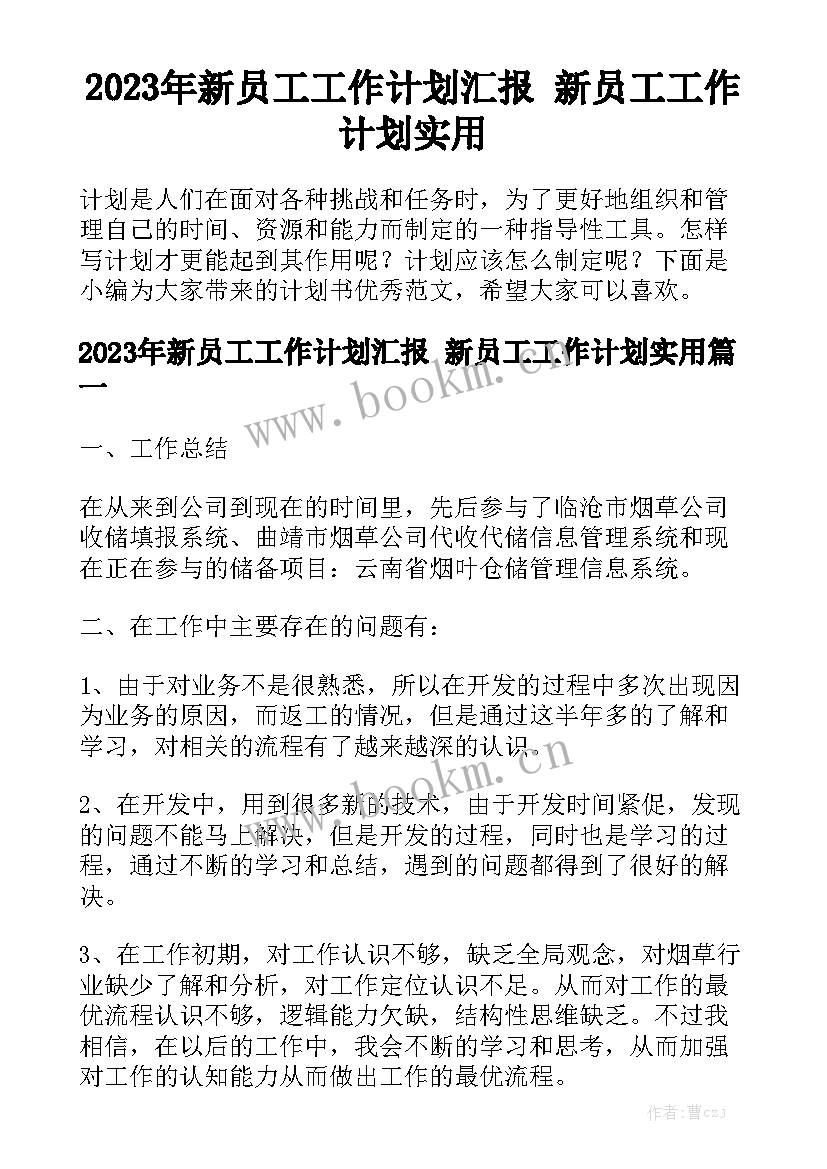 2023年新员工工作计划汇报 新员工工作计划实用