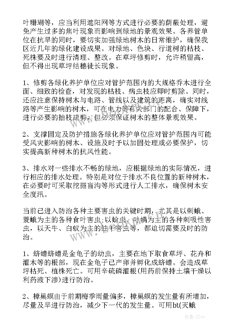 最新道路绿化养护工作计划 市区道路绿化工作计划通用