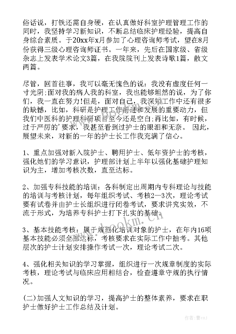 2023年护士长科室工作计划大全