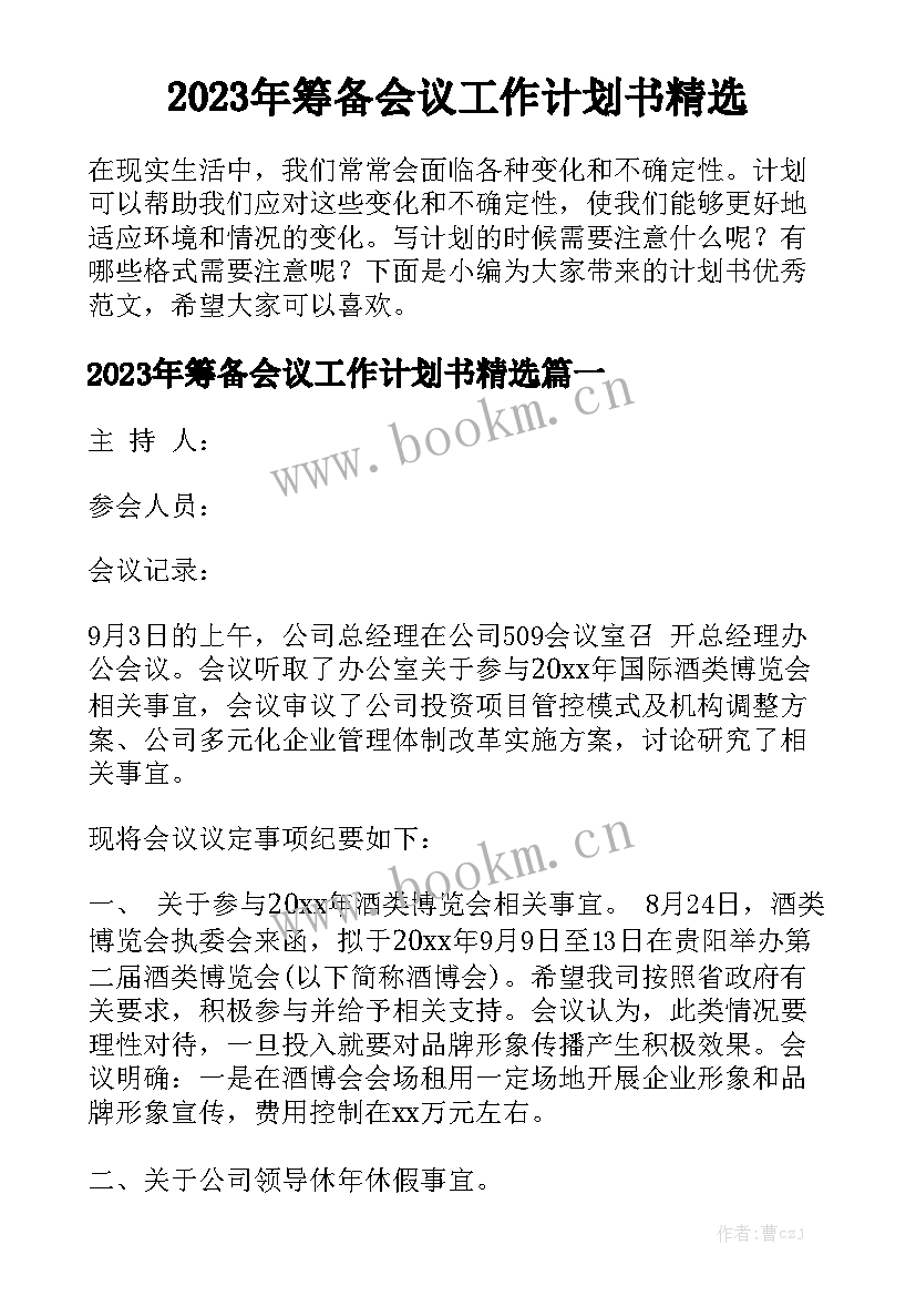 2023年筹备会议工作计划书精选