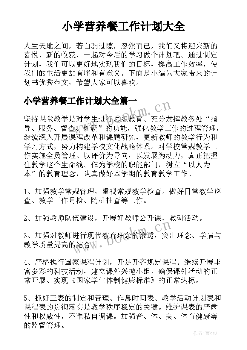 小学营养餐工作计划大全