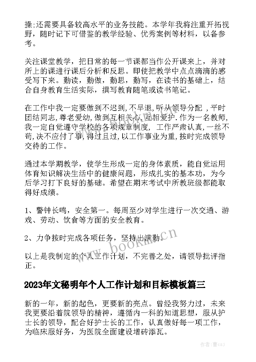 2023年文秘明年个人工作计划和目标模板