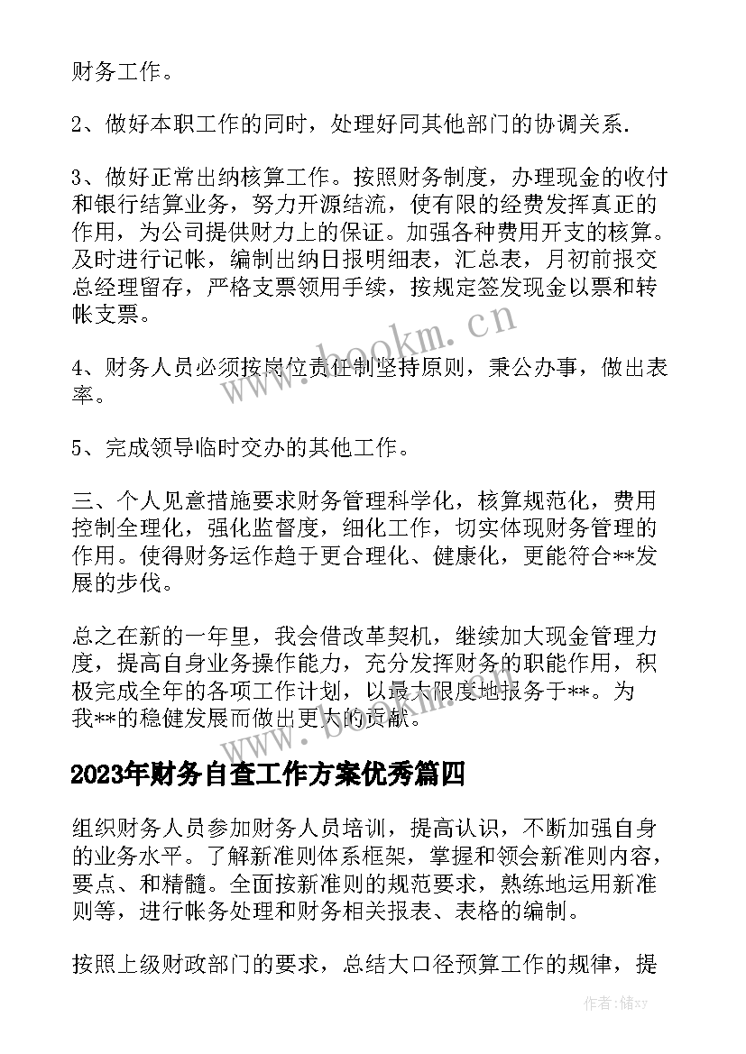 2023年财务自查工作方案优秀