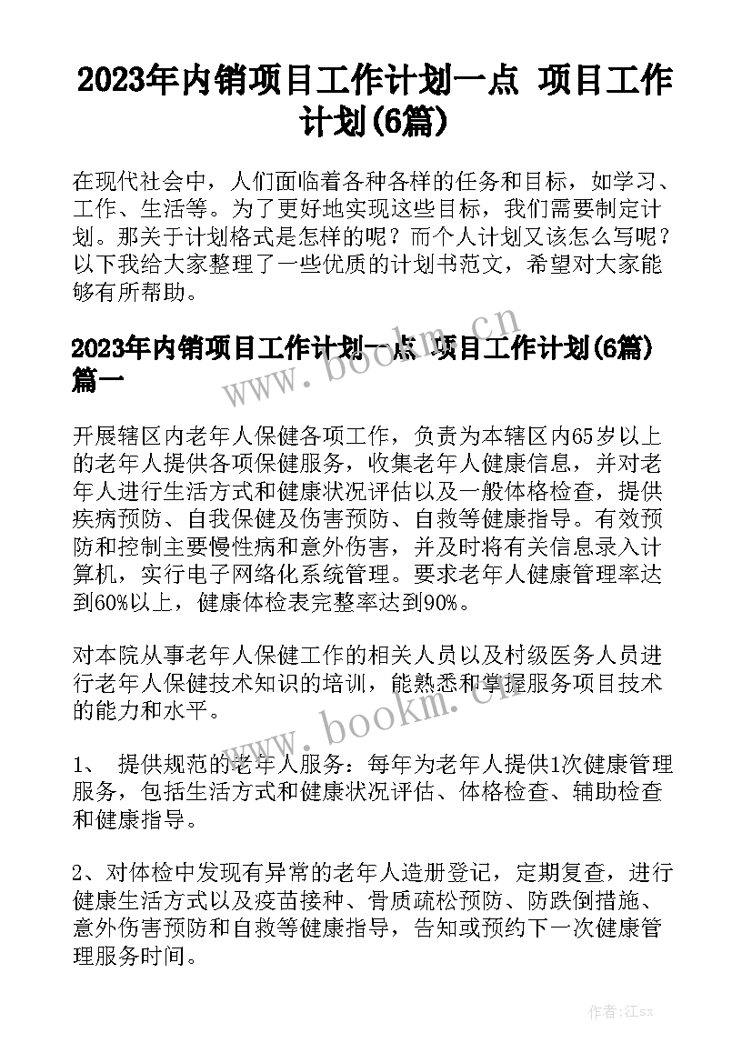 2023年内销项目工作计划一点 项目工作计划(6篇)