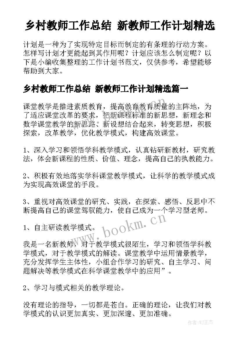 乡村教师工作总结 新教师工作计划精选