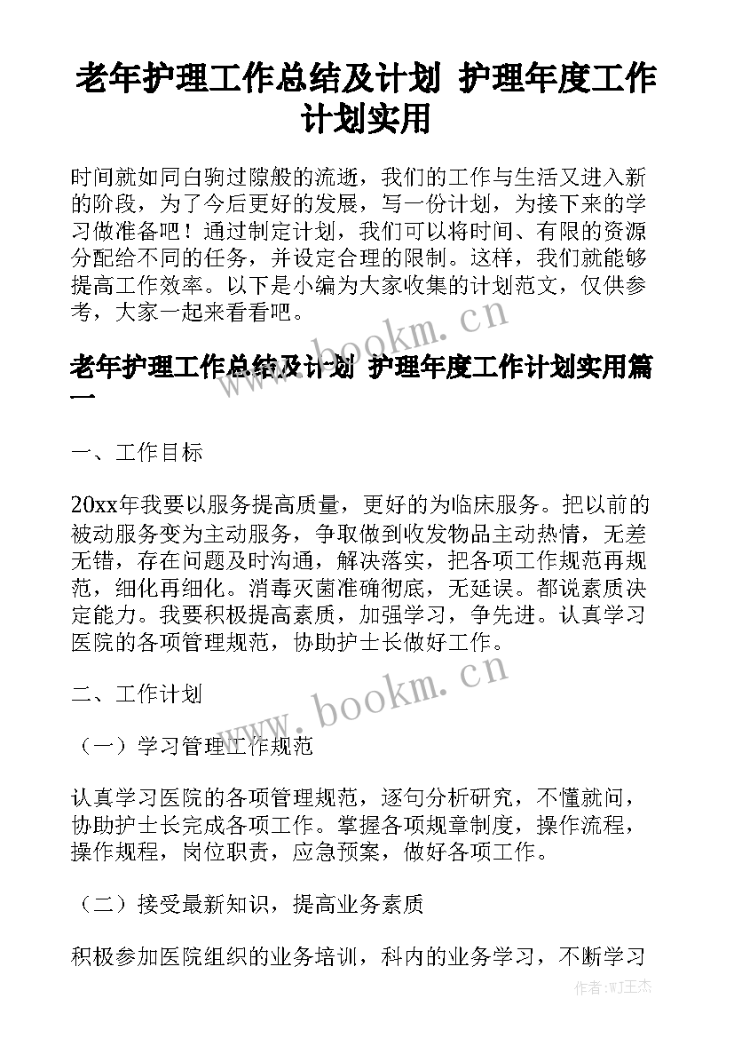 老年护理工作总结及计划 护理年度工作计划实用