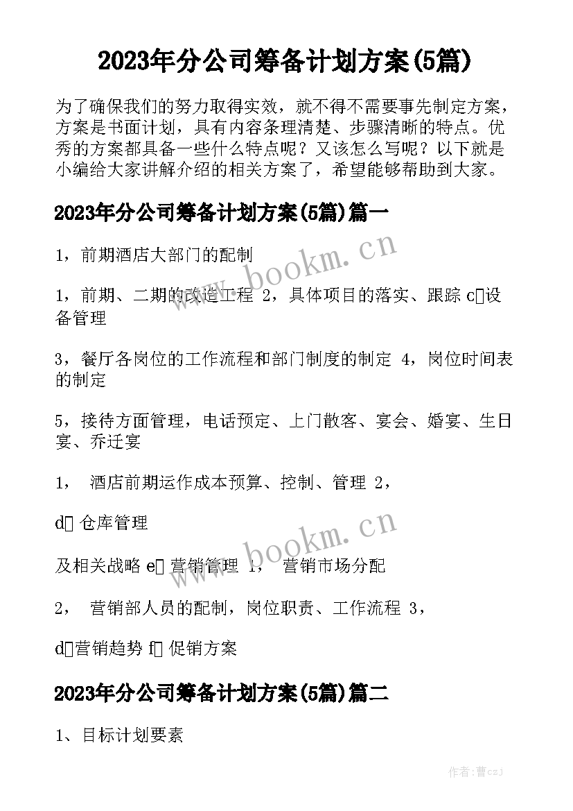 2023年分公司筹备计划方案(5篇)