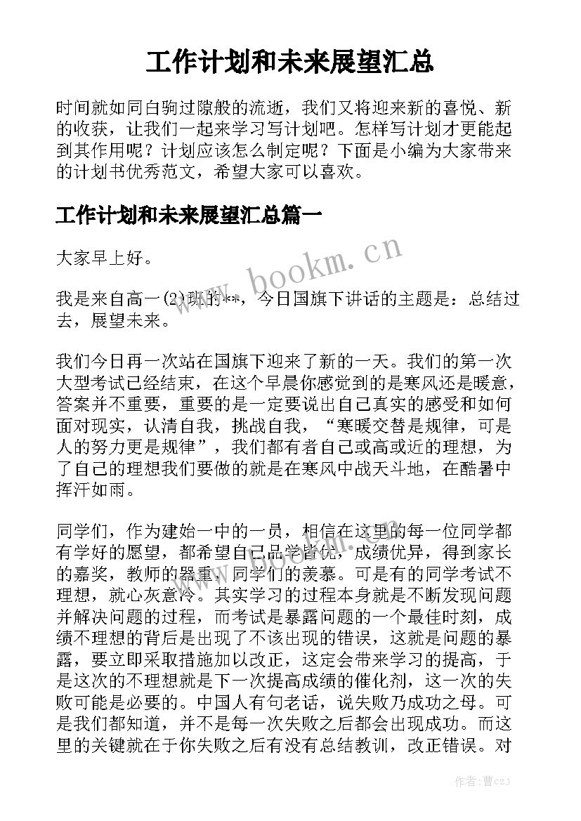 工作计划和未来展望汇总