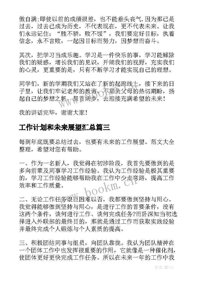 工作计划和未来展望汇总