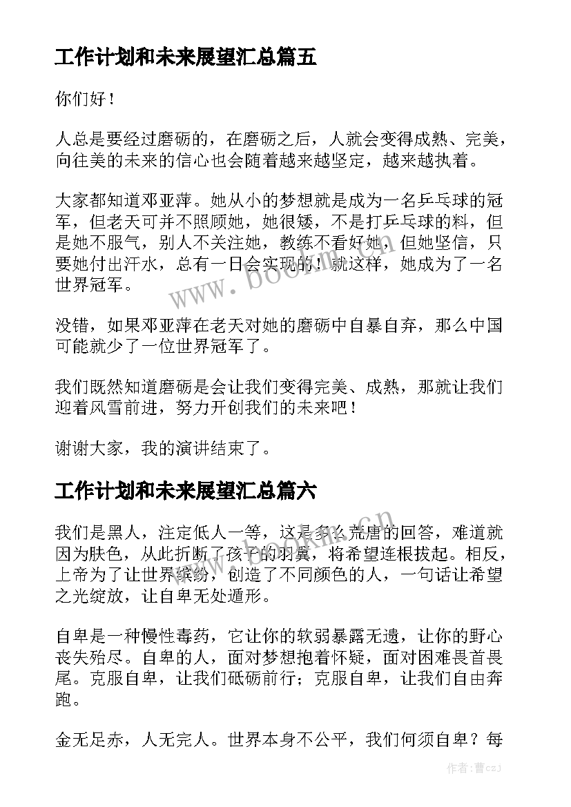 工作计划和未来展望汇总