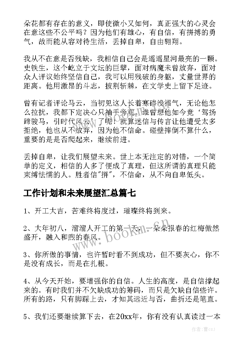 工作计划和未来展望汇总