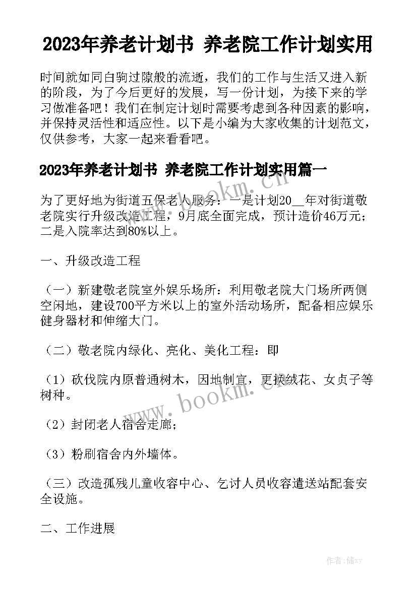 2023年养老计划书 养老院工作计划实用