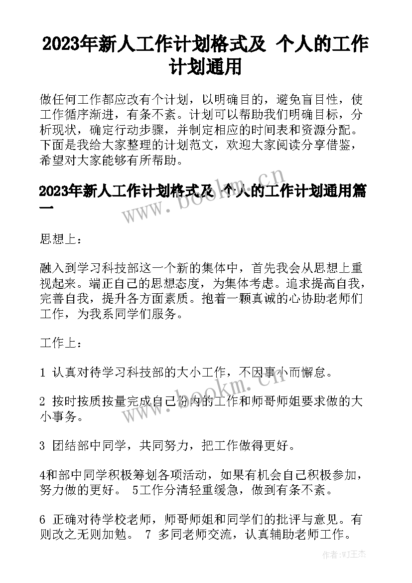 2023年新人工作计划格式及 个人的工作计划通用