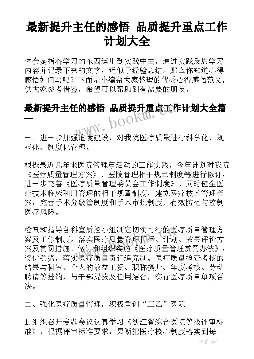 最新提升主任的感悟 品质提升重点工作计划大全