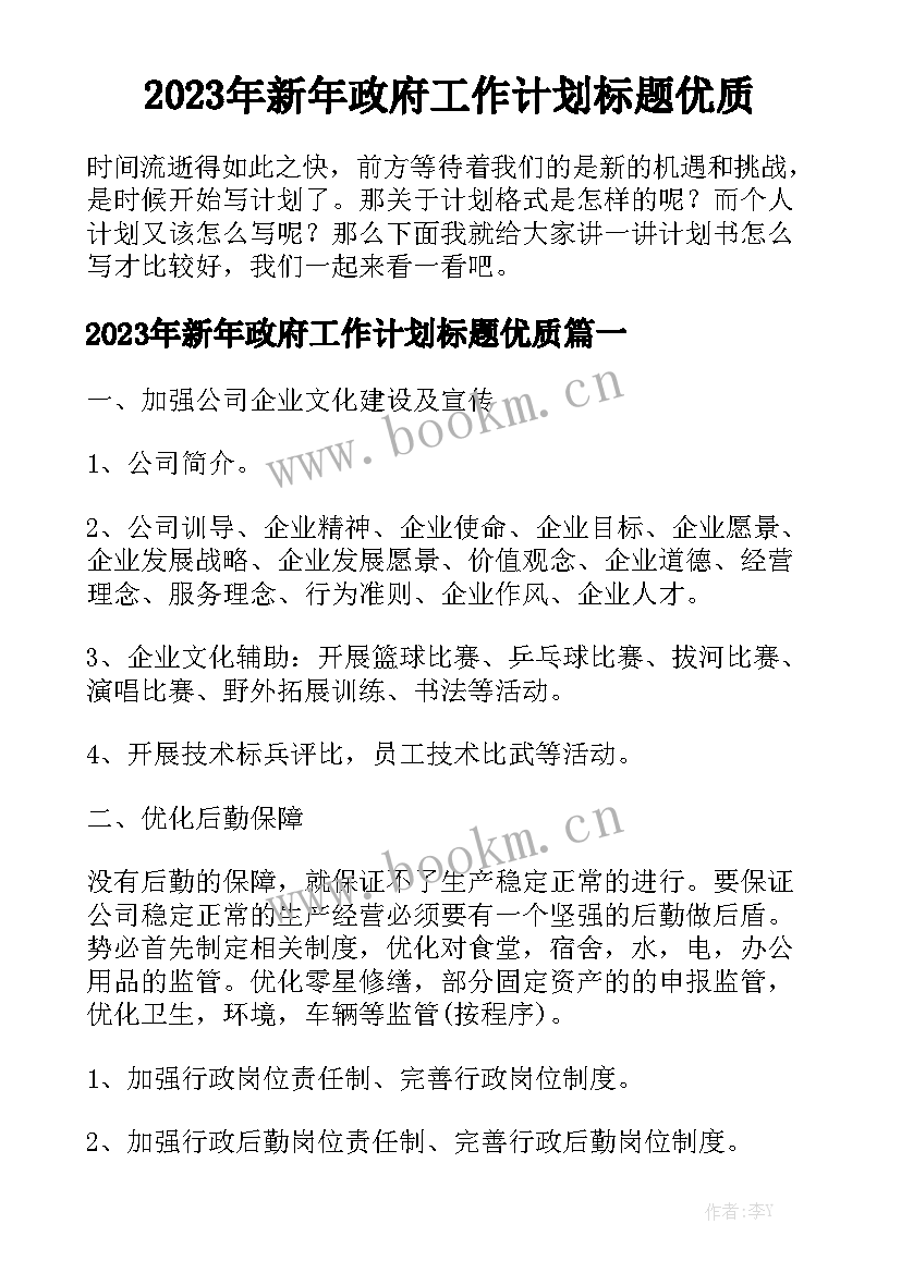 2023年新年政府工作计划标题优质