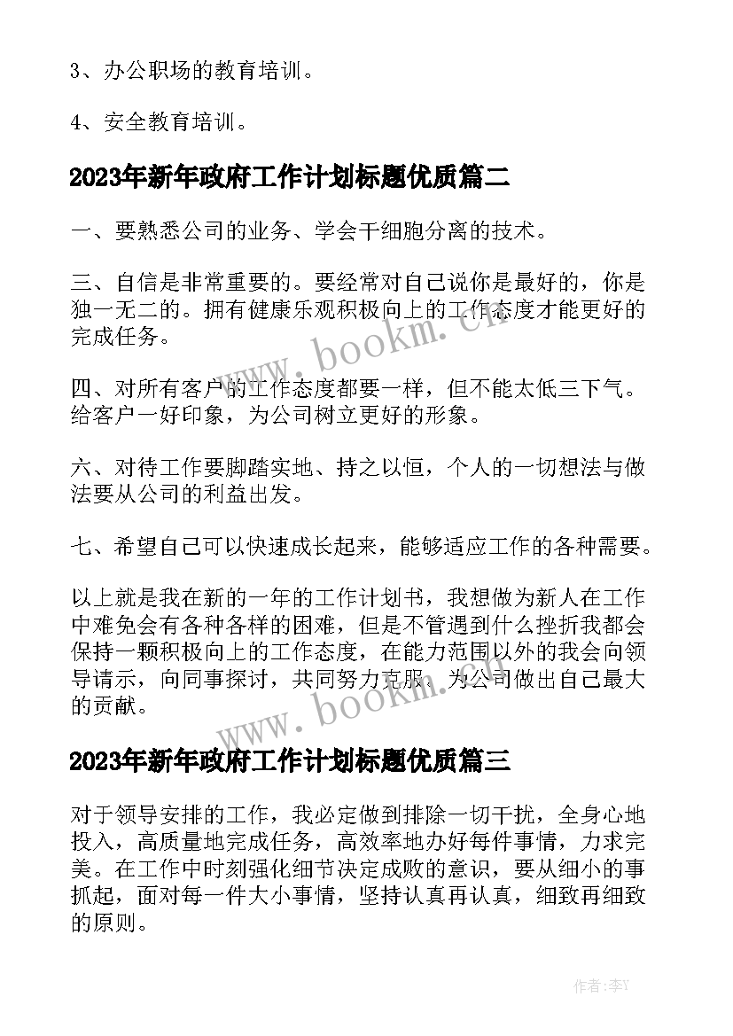 2023年新年政府工作计划标题优质