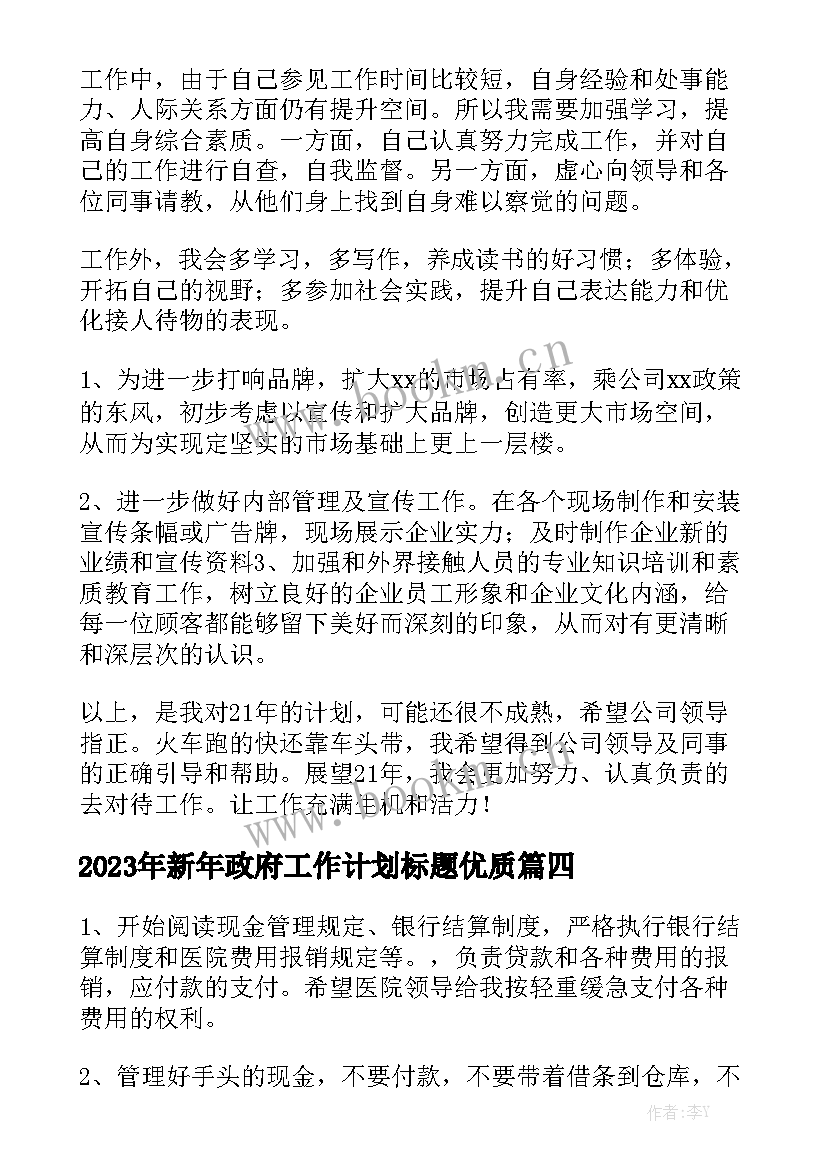 2023年新年政府工作计划标题优质