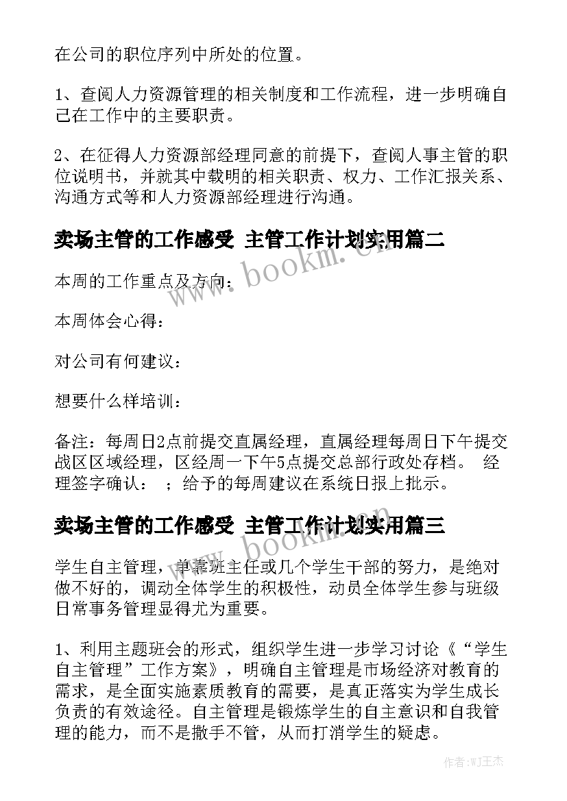 卖场主管的工作感受 主管工作计划实用