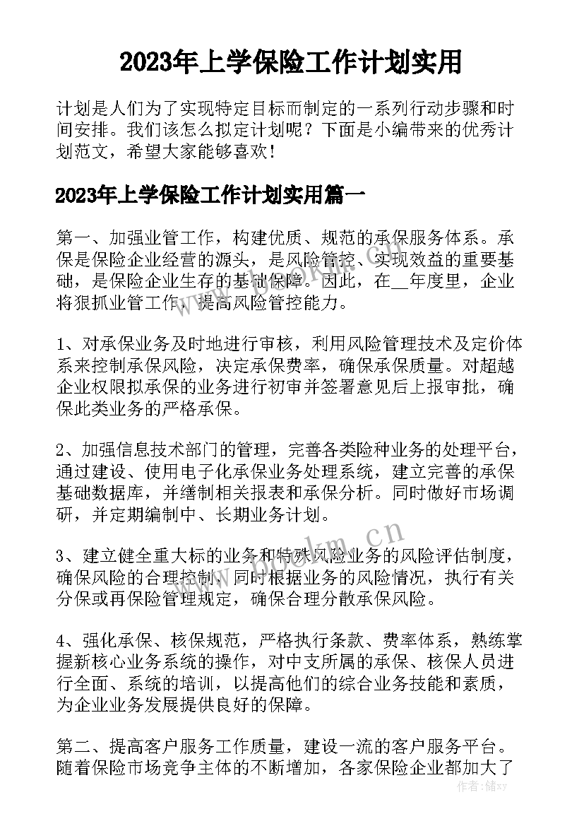 2023年上学保险工作计划实用