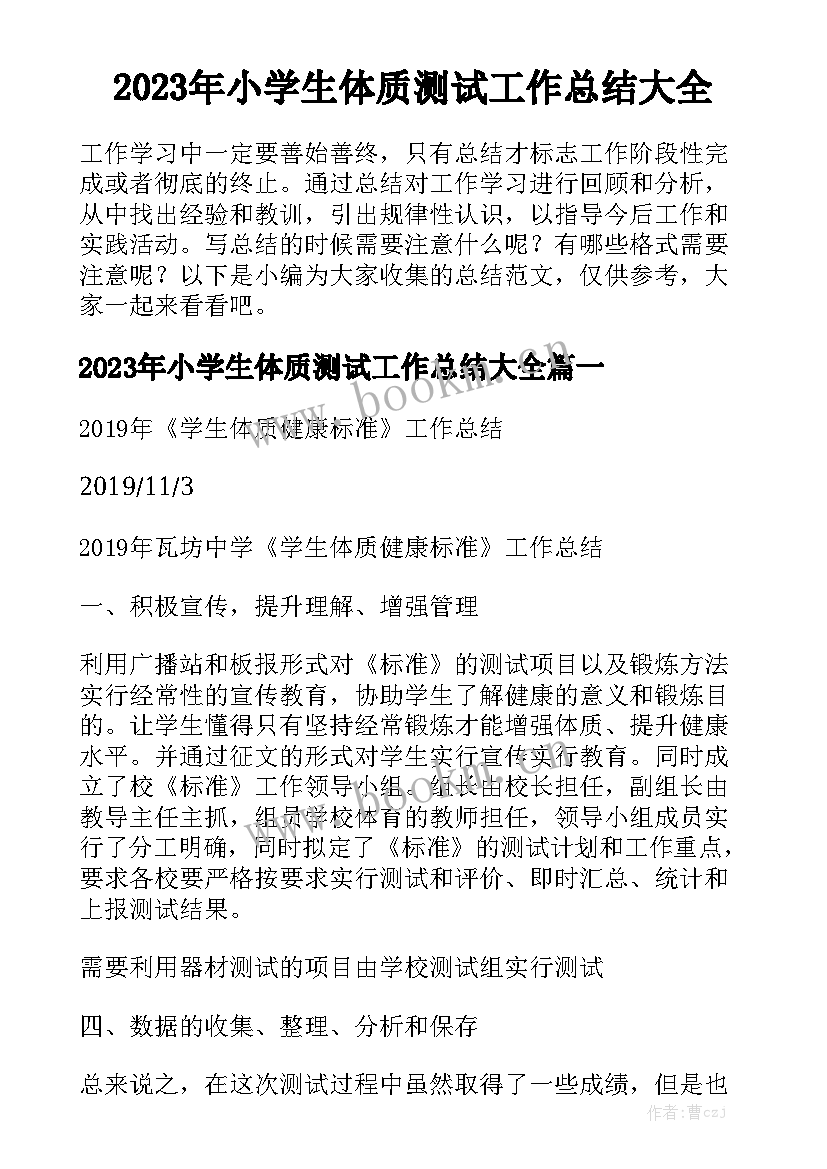 2023年小学生体质测试工作总结大全