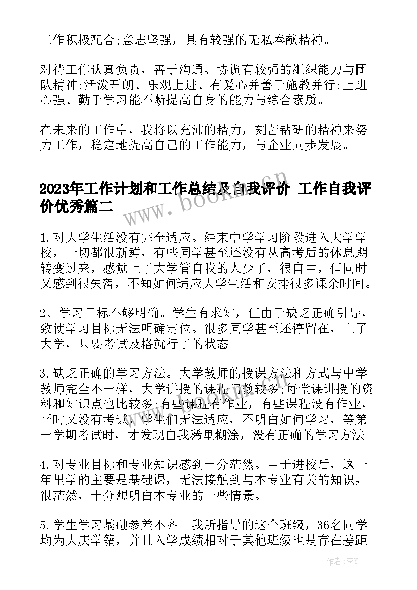 2023年工作计划和工作总结及自我评价 工作自我评价优秀