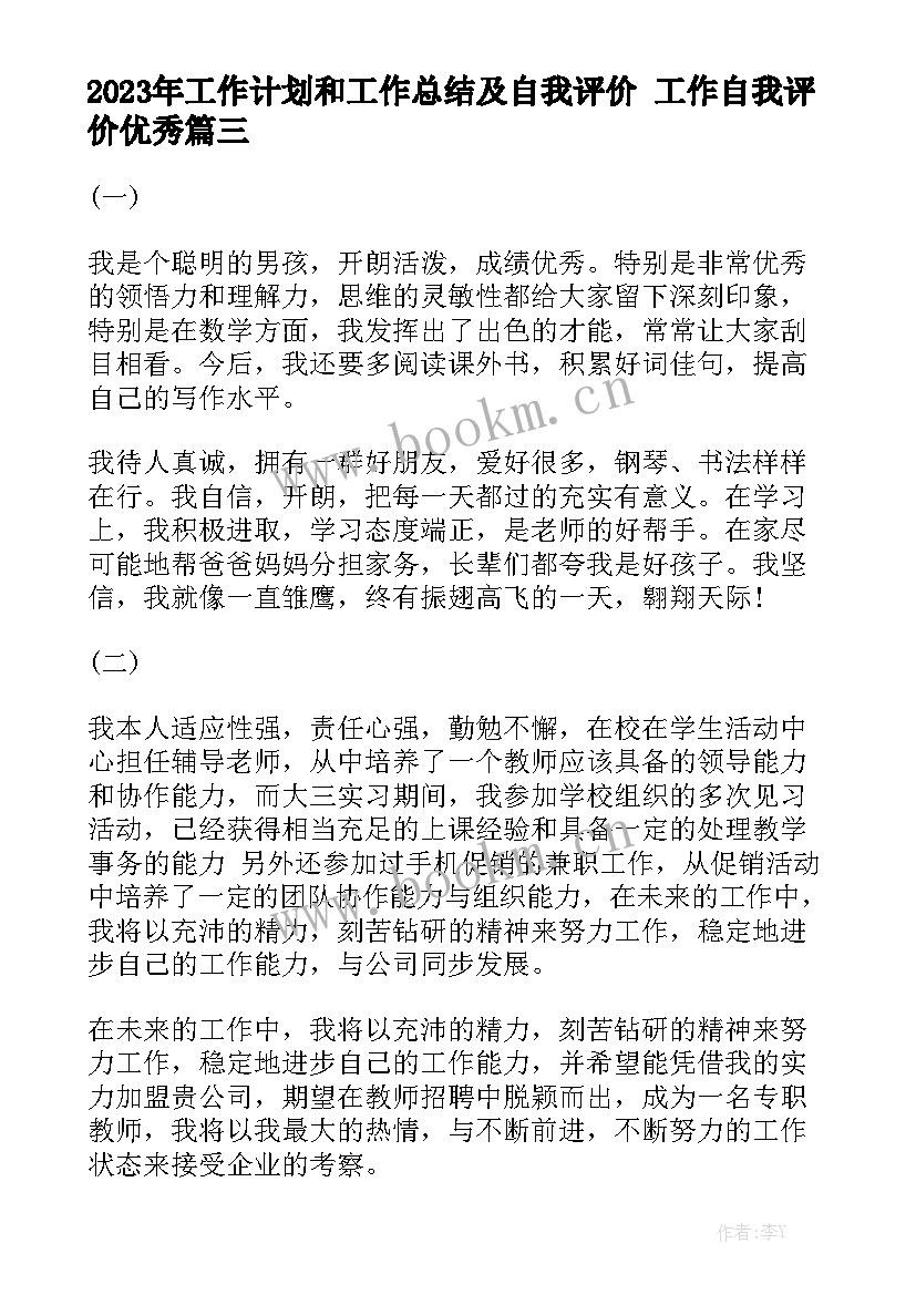 2023年工作计划和工作总结及自我评价 工作自我评价优秀