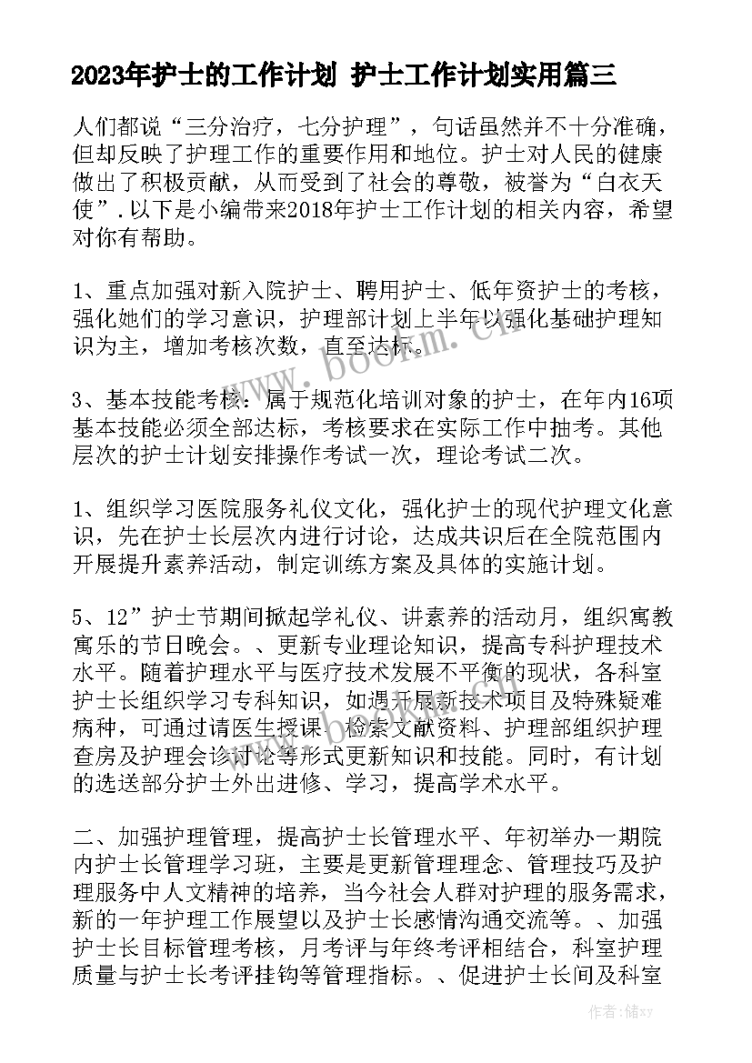 2023年护士的工作计划 护士工作计划实用