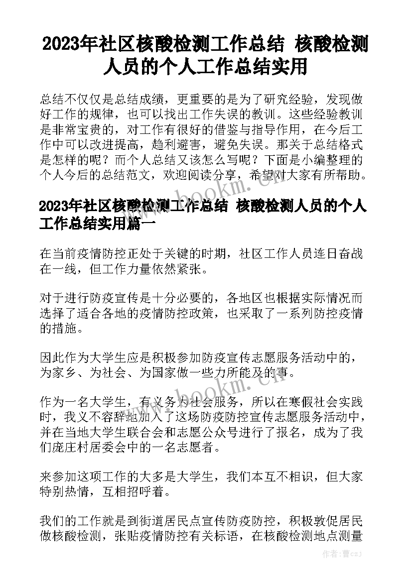 2023年社区核酸检测工作总结 核酸检测人员的个人工作总结实用