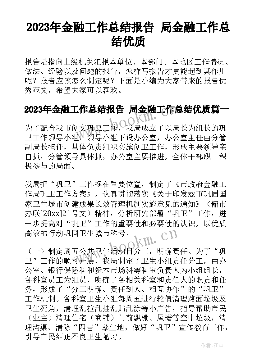 2023年金融工作总结报告 局金融工作总结优质