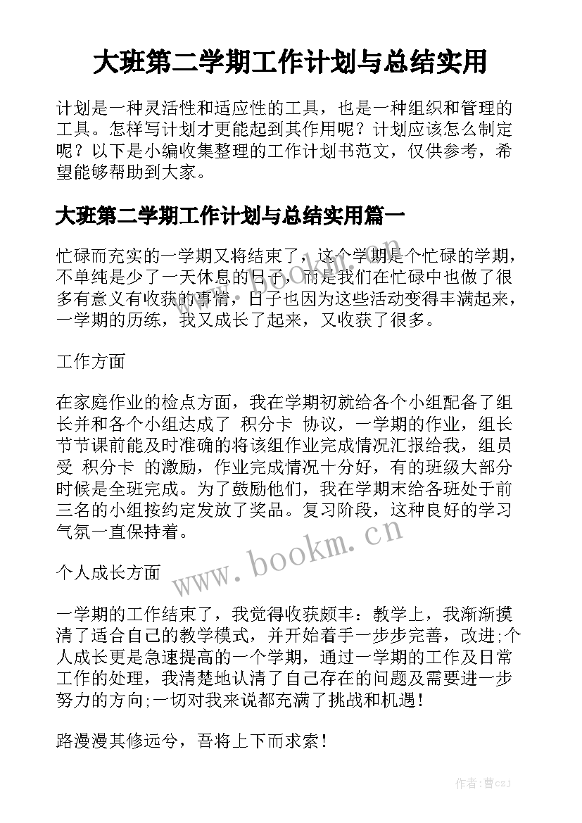 大班第二学期工作计划与总结实用