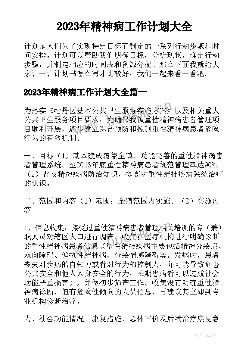 2023年精神病工作计划大全