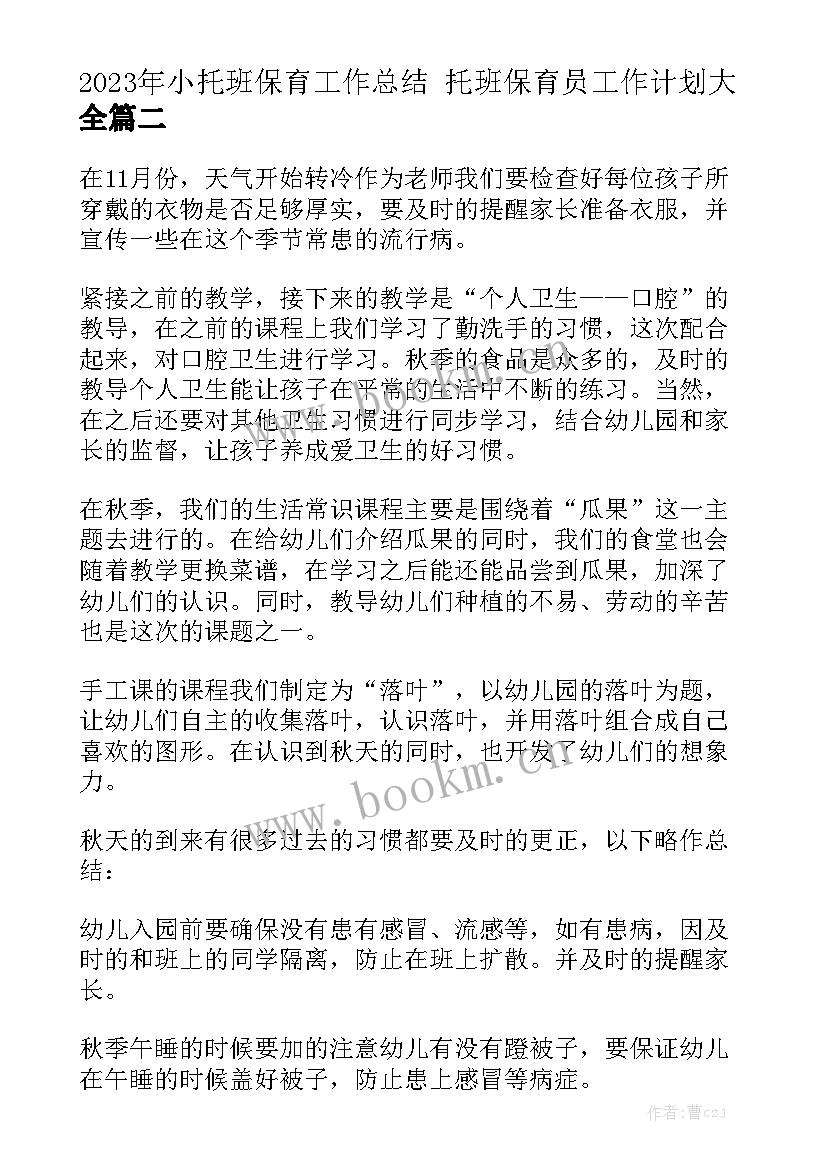 2023年小托班保育工作总结 托班保育员工作计划大全